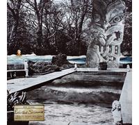 Mike Cooper Reluctant Swimmer/Virtual Surfer (Vinyl) 12" Album
