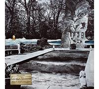 Mike Cooper - Reluctant Swimmer/Virtual Surfer - Vinyl Record 12 Album - F600z