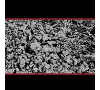 MIKE COYKENDALL - Half Past Present Pending