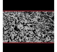 MIKE COYKENDALL - Half Past Present Pending [VINYL]