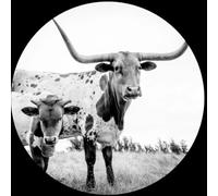 Mike Flanigin West Texas Blues (Vinyl) (US IMPORT)