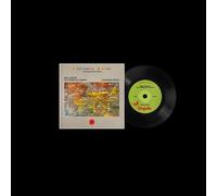 Mike Lindsay feat. Guy Garvey / Katherine Priddy - The Endless Coloured Ways: The Songs of Nick Drake - Mike Lindsay feat. Guy Garvey / Katherine Priddy [7" VINYL]