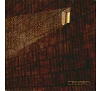 Mike Oldfield - Mike Oldfield And Roger Chapman / Shadow On The Wall (Extended Version)