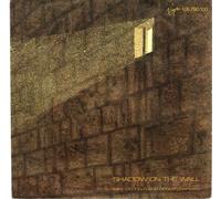 Mike Oldfield & Roger Chapman - Shadow On The Wall