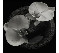 Mike Patton and Jean-Claude Vannier Corpse Flower LP Vinyl IPC211LP NEW
