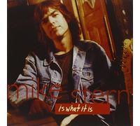 Mike Stern - Is What It Is