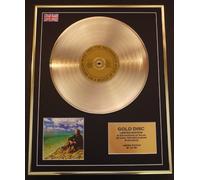 MIKE + THE MECHANICS/LTD. EDITION CD GOLD DISC/RECORD/BEGGAR ON A BEACH OF GOLD