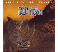 Mike & The Mellotones - Wild Live Action