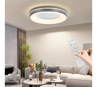 Mikeru LED Flush Ceiling Light, 60cm Grey Round Ceiling Light Dimmable 10% to 100% 3000K/4500K/6500K 3 Color Change Large Lights with Remote Control for Living Room, Office