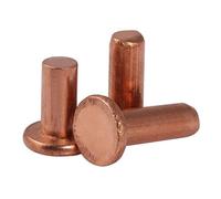 MIKFESPO 100PCS GB867-86 Solid Red Copper Rivets Pan Head Rivets Flat Head Copper Riveting M2(M2 X 12 mm)