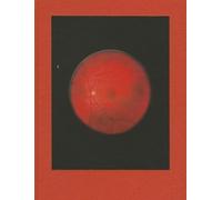 Mikhael Subotzky: Retinal Shift
