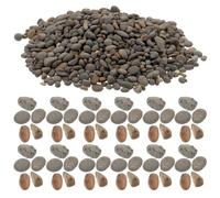 Mikikit 1 Bag of Diorama Stone Material Kit 50g Realistic Miniature Rocks for Sand Table and Fish Tank Mini Landscape Layout Decoration Fine Workmanship and Beautiful Appearance