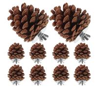 Mikikit 10pcs Natural Pine Cone Bird Cage Shredding for Parakeet Cockatiel with Nut Fix, Hanging Parrot Chewing and Foraging for Small Birds