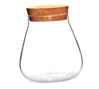 Mikikit 1Pc Clear Terrarium Bottle with Cork Stopper for DIY Succulent Display for Bottle Crafting Friends and Family