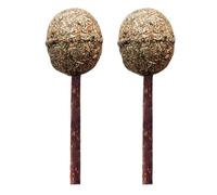 Mikikit 2pcs Catnip Lollipop Chew for Cats Wooden Cat Molar Mint Helps Gum Disease Relief and Builds Self Esteem Suitable for Home and Pet Store Use