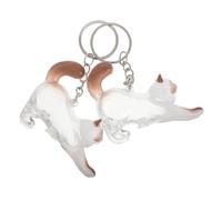 Mikikit Cat Hair Memorial Keychain Set Memory Holder 2pcs with Plastic and Alloy Materials Cute Cat Pendant for Pet Owners Suitable for Travel and Occasions