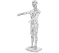 Mikikit Human Body Acupuncture Model Male Mannequin with Sturdy Design and Meridian Markings for Medicine Education and Clinical Therapy Display