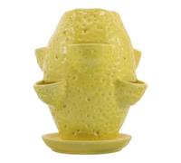 Mikikit Indoor and Outdoor Ceramic Planter with Saucer, Lemon Shape Flower Pot with Multiple Holes, Lightweight Breathable Container for Succulents and Orchid Growing