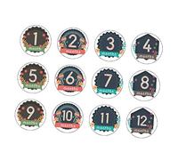 Mikikit Newborn Sticker Set Baby Monthly Milestone Stickers Photo Prop Decals Waterproof Matte Finish Ideal for Pregnant Women