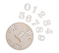Mikikit Wooden Monthly Memory Cards Set with White Daisy Decor, Newborn Photo Props for Nursery, Decorative Monthly Discs for Birth to First Year Keepsake