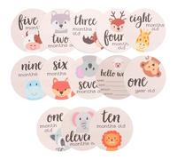 Mikikit Wooden Monthly Milestone Cards 13pcs Set Newborn Photography Props Milestone Discs Growth Signs for Newborn Photo Shoot and Monthly Celebration