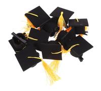 Mikinona 10pcs Graduation Cap Hair Clip Doctoral Hat Hairpin Set Mini Hairpin for Girls Graduation Decor