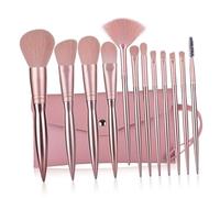 Mikinona 12pcs Rose Gold Electroplating Makeup Brush with Plastic Handles Professional Cosmetics Brushes for Women for Daily Professional Use No Shedding Bristles Easy to Clean