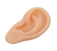 Mikinona 1pc Ear Model Simulation Ear Model Ear Presentation Model for Doctor Student Teaching
