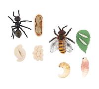 Mikinona 2 Sets Simulated Bee and Ant Life Cycle Models Educational Figurines for Realistic Biological Growth Phase Cognitive Science Learning Aids for Boys