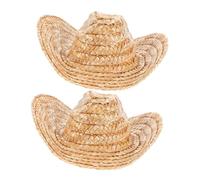 Mikinona 2pcs Mini Western Cowboy Hats for Dolls Small Pets Miniature Straw Hats for Party Decorations DIY Crafts Dollhouse Accessories with Festive Charm