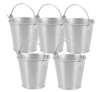 Mikinona 5pcs Small Iron Bucket Flower Pot Metal Tin Bucket for Gardening Party Decor Silver Mini Metal