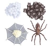 Mikinona Animal Growth Model Spider Simulation for Educational Science Play Realistic Insect Life Cycle Display Decoration for Parties and Home Teaching Aid