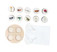 Mikinona Animal Life Cycle Playset Educational for Storage Tray Cognitive Figures Demonstrating Growth Stages Nature Learning Puzzle
