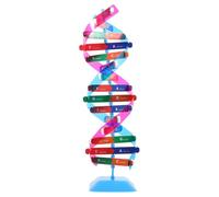 Mikinona Educational Dna Model Kit Double Helix Structure Science Teaching Aid for Students Human Genome Learning Biology Experiment Materials
