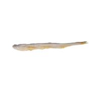 Mikinona High Fidelity Artificial Dried Fish Model with Fade-resistant Color and Shape Retention Lifelike Faux Seafood Prop for Desktop Decoration Pretend Kitchen and Restaurant Display
