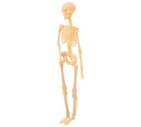 Mikinona Human Skeleton Model Anatomy Skeleton Figure Lightweight Plastic DIY Assembly Educational Tool for Students Scientific Teaching Aid for Office Decor and Learning