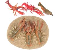 Mikinona Lobster Life Cycle Educational for Realistic Plastic Lobster Model Figurines Biology Learning Kit for Early Childhood Cognitive Development and Nature Exploration