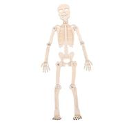 Mikinona Small DIY Human Skeleton Model Kit Educational Anatomy Puzzle for Classroom Science Fair Interactive Learning Tool