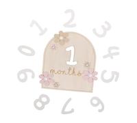 Mikinona Wooden Monthly Milestone Cards with Double-Sided Newborn Month Marker and Daisy Flower Accent Photo Props for Growth Tracking and Newborn Keepsake for Shower Celebration
