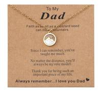 Mikovivi Mountain Pendant Necklace with Card for Dad, Gold Cabinet Mustard Seed Faith Necklace Stainless Steel Move Mountains Jewelry for Christian Faith Jewelry Gift
