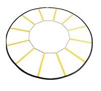 Milageto Circular Ladder Circle with 12 Grids Flexible Circle s for Home Workouts