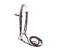 Milageto Horse Bridle with Rein Halter Versatile Headcollar Harness Poll Strap Horse Riding Rope for Club Lesson Course Farm Trail, brown 13.5cm