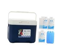 Milageto Ice Chest Box, Insulated Cooler, with Handle Cold Storage Case with Ice Pack for Barbecue Sport Drink Yard Beach Breast Milk, Blue