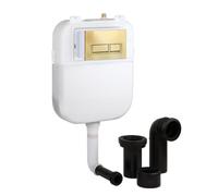 Milano Back to Wall Toilet WC Concealed Cistern Rectangular Brushed Brass Dual Flush Plate