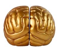 mildahjoy Brain Bookends, 6.5Inch Tall Brain Decorative Resin Book Shelf Organizers Book Holders Shelf Dividers Book Ends for Home or Office Shelves Brain Sculpture Bookend Set