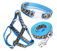 Mile High Life Dog Collar, Harness and Leash | Blue Leopard Design | Extra Small| Perfect Accessory For Walking Your Dog
