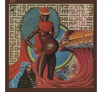 MILES DAVIS - LIVE EVIL - Vinyl Record DLP - C4z