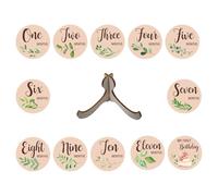Milestone Wooden Circles,Milestone Cards Sign Wooden Baby Milestone Blocks | Double-Sided Photo Prop Discs, Smooth Round Baby Announcement Cards for Baby Shower