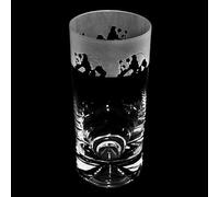 Milford Collection Animo Glass Highball Glass - Panda
