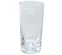 Milford Collection Animo Glass Highball Glass - Welsh Dragon